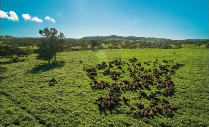 /uploads/image/2020/01/07/0107110.png 0107110.png