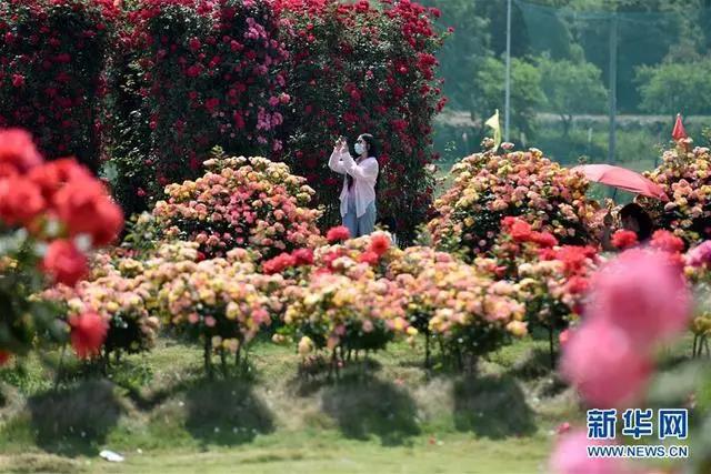 /uploads/image/2020/05/07/春3.jpg 春3.jpg